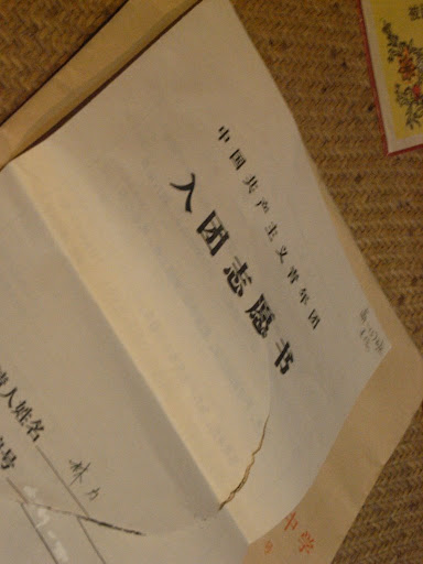 入团志愿书，有志青年专享！