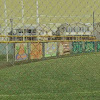 A Day at the Ball Park