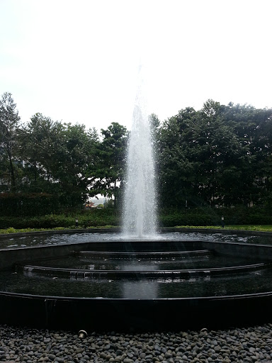 Fountain at Micron 
