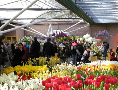 Flowers and People 12Apr2008-27