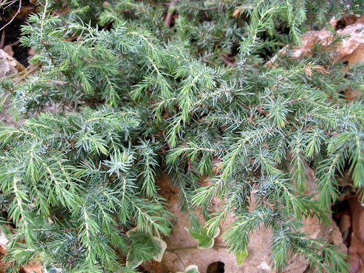 PA010001.JPG