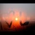 sunset love