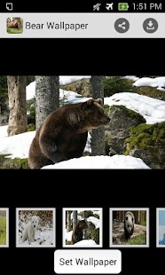 How to download Bear Wallpaper HD 1.0 apk for pc
