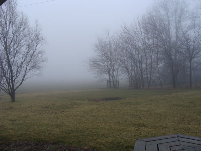 [DSC007273.jpg]