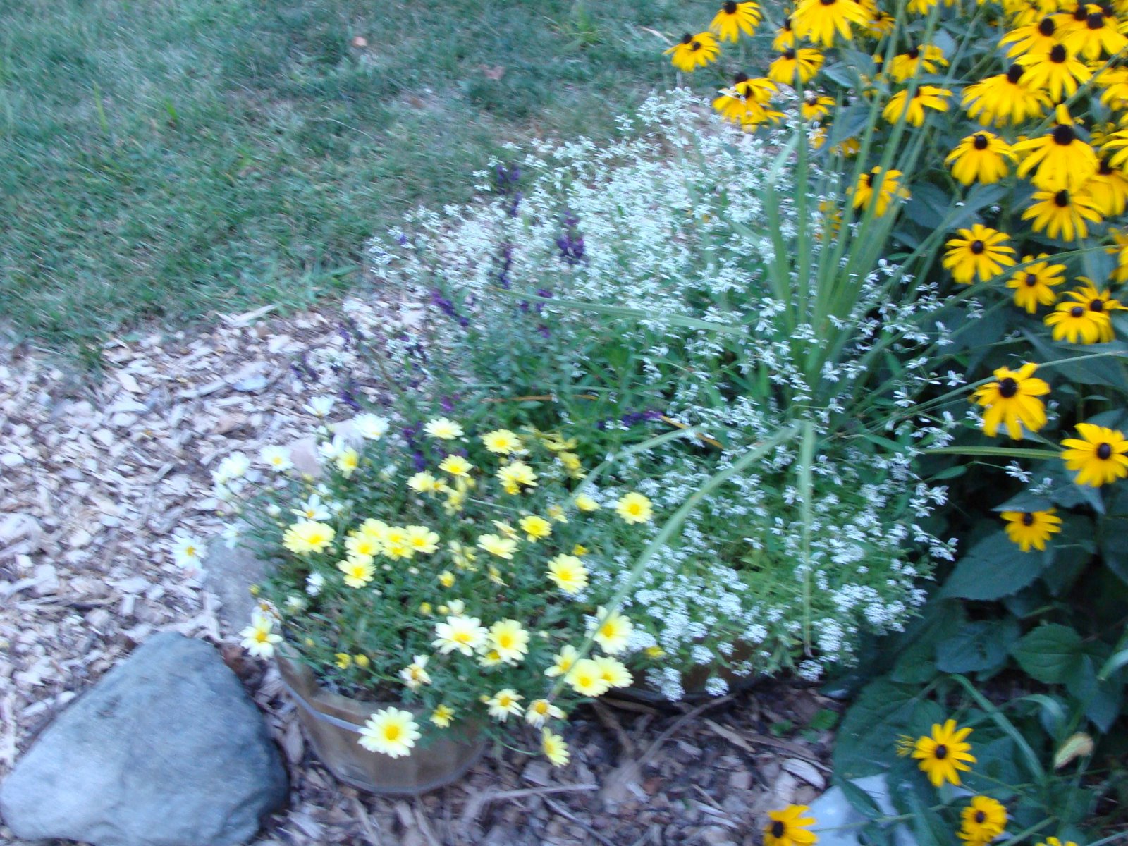 [DSC056613.jpg]
