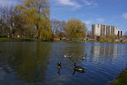 IMGP0349.JPG