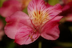 IMGP2323.JPG