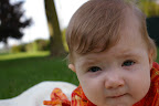 IMGP4107.JPG
