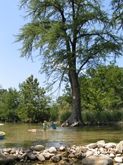 PICT0544