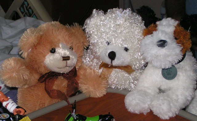 [PICT05594.jpg]