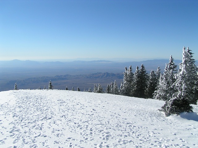[PICT01412.jpg]