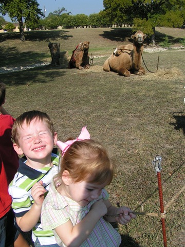 [PICT00062.jpg]