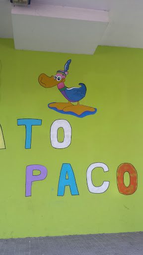 Pato Paco