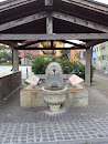 Fontana del Pernone