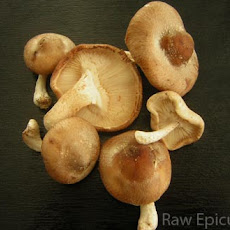Simple and Luscious Asian Shitake Mushrooms