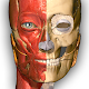 Anatomy Learning for PC-Windows 7,8,10 and Mac 2.0