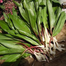 Ramps with Romesco