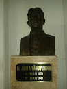 Busto Dr. Julio Afranio Peixoto