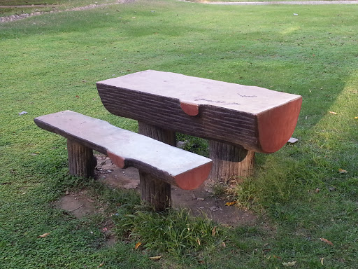 Log Table and Seat