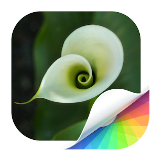 Flower Wallpaper.apk 1.0.0