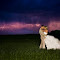 Lightning-1.jpg