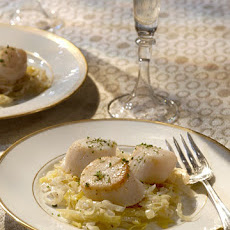Scallops with Leeks in Champagne Sauce
