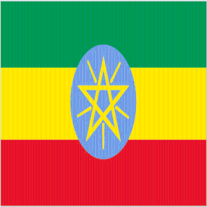 Ethiopia Facts.apk 1.0