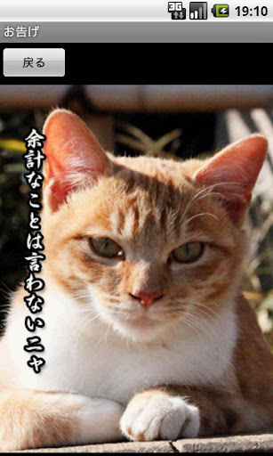 免費下載生活APP|Revelation of feral cats app開箱文|APP開箱王