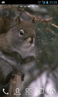 How to get Snow Squirrel Live Wallpaper build-0100 mod apk for laptop