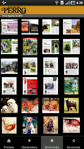 【免費新聞App】Elmundodelperro-APP點子