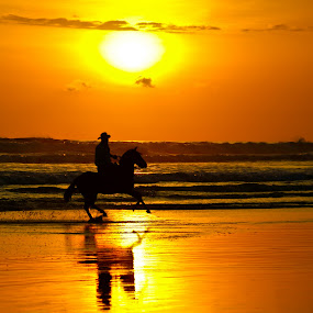 by Tom Gwinn - Travel Places