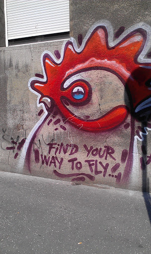 Find Your Way to Fly