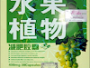 Baje De Peso Rápido Con Fruta Planta