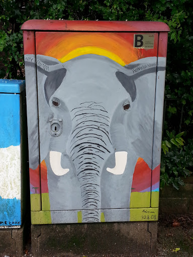 Elefant am Stromkasten