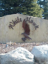 White Hawk Eagle Statue