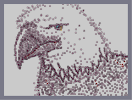 Thumbnail of the map 'Bald Eagle July Fourth Dedication:StepC'