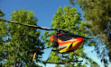Helicoptero Radiocontrol Walkera 4-1