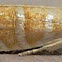 Slash Pine Seedworm Moth