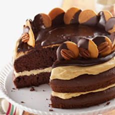 Turtle Cake by JELL-O