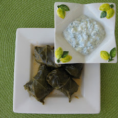Lamb Dolmas With Tzatziki
