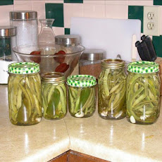 Spicy Pickled Beans