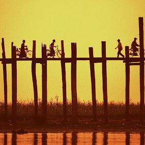 by Darrin James - Buildings & Architecture Bridges & Suspended Structures