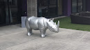 Silver Rhino
