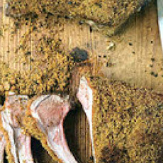Two-Chile Rack of Lamb