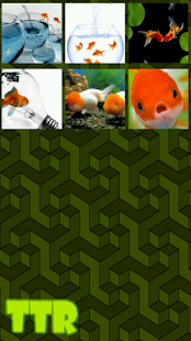 How to install Goldfish Sliding Puzzle patch 0.2 apk for android
