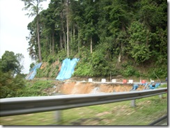 DSCN5209