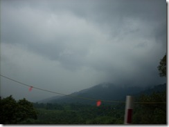 DSCN5211