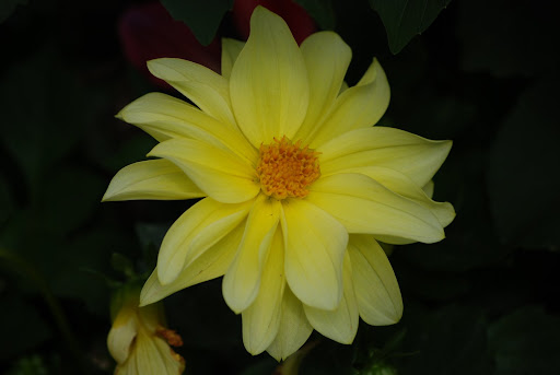 DSC_0350.JPG