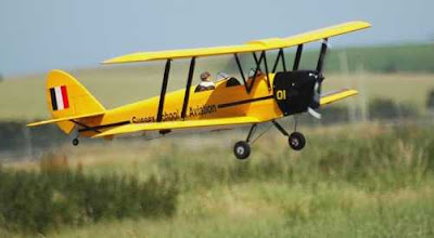 Tiger Moth Biplanos