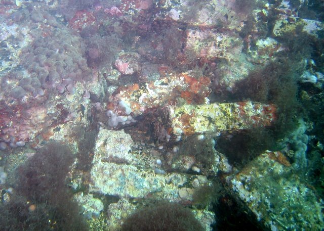[IMG_26062.jpg]